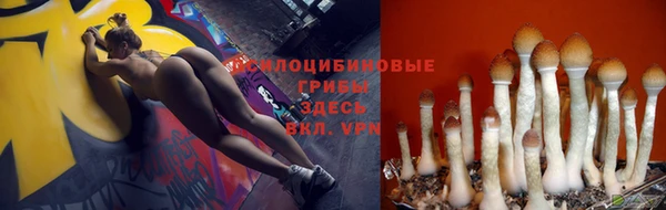 крисы Заволжье