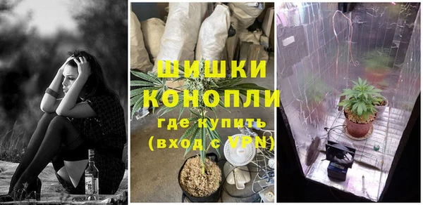 соль курить ск Заводоуковск