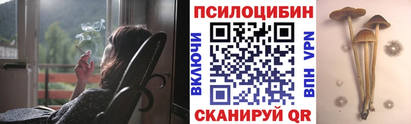 наркошоп Шлиссельбург Галлюциногенные грибы MAGIC MUSHROOMS